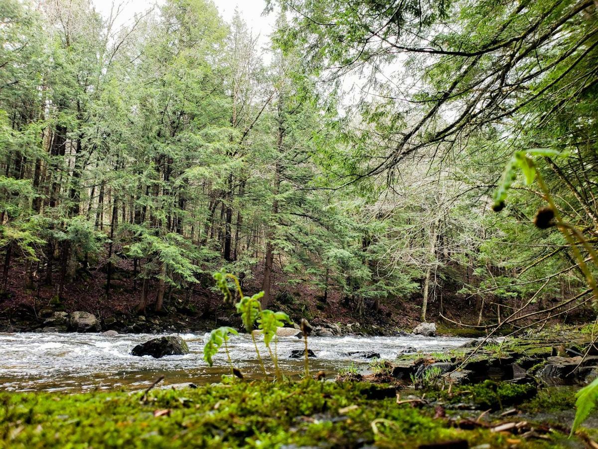 Boise Riviere Bed & Breakfast Bolton-Est Bagian luar foto